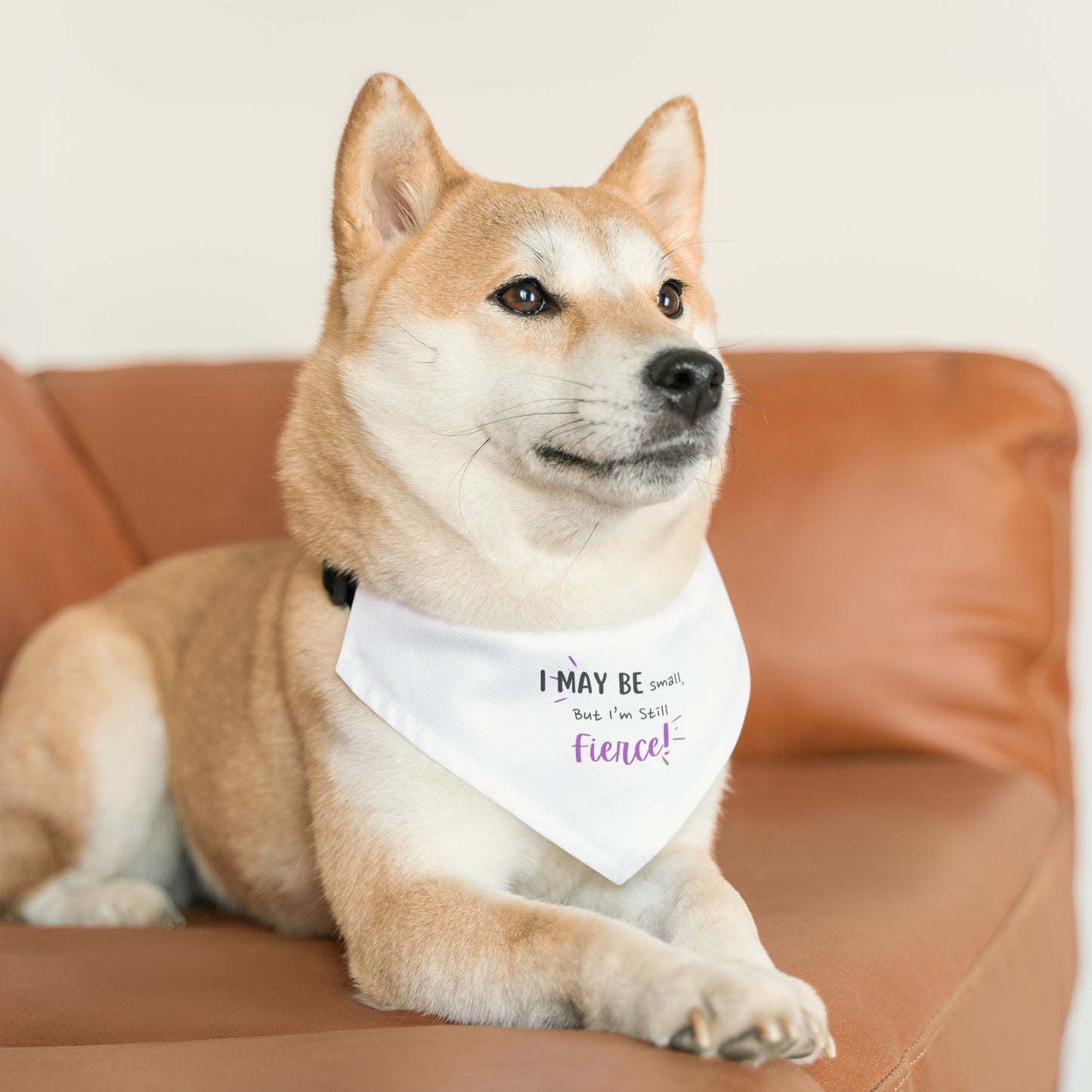 Small but Fierce Pet Bandana Collar