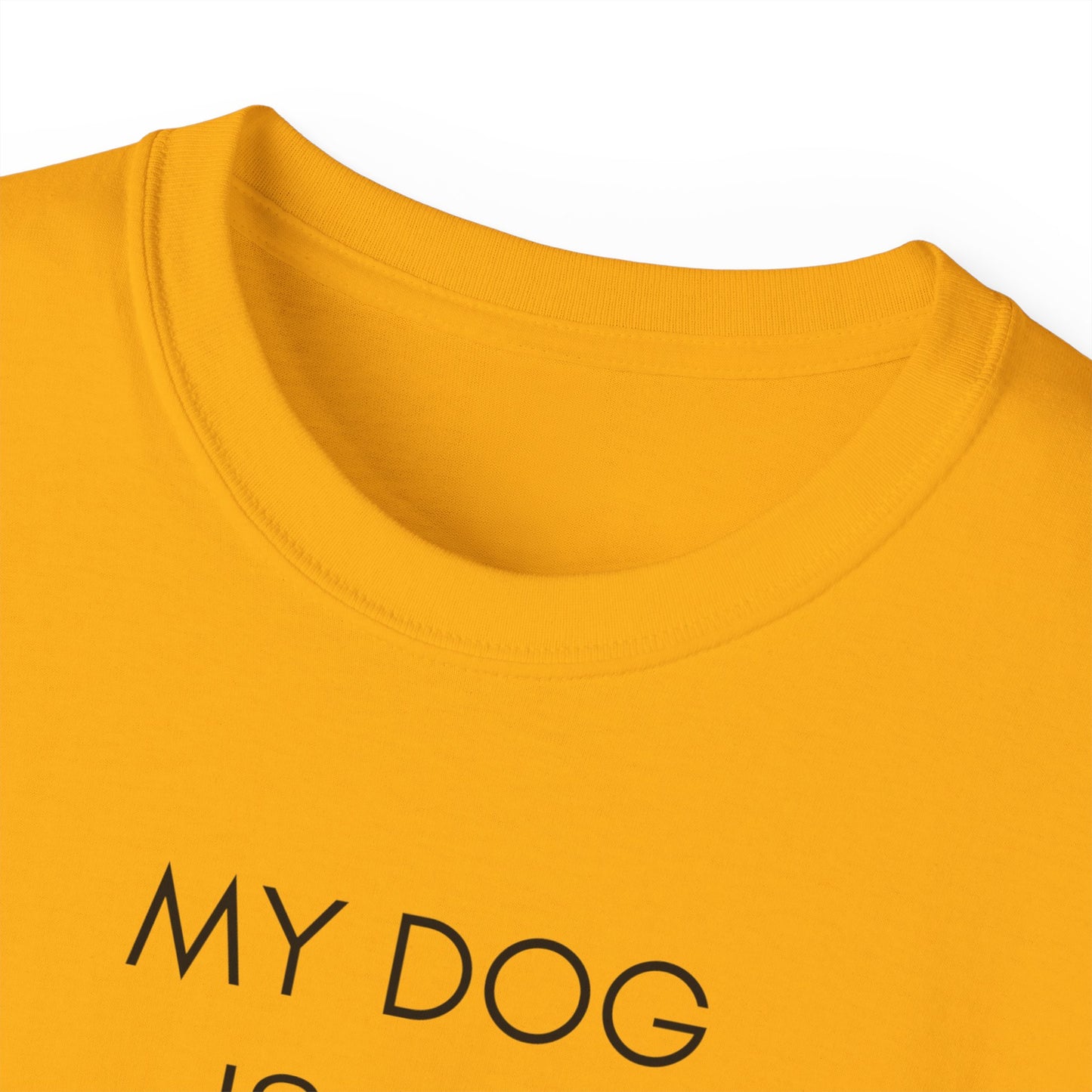 My Dog Is My Valentine T-Shirt