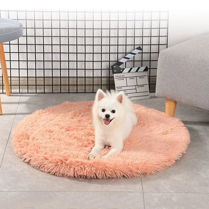 Round Dog Bed